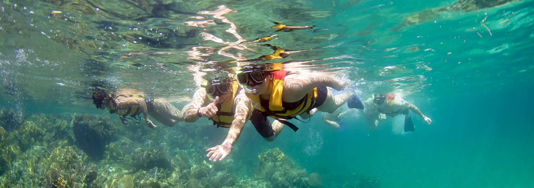 people using a mask fins and life jacket in snorkeling